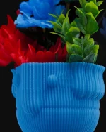 Josef saksija - Image 4