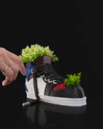 Patika saksija - Image 7