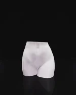 Femininum saksija - Image 2