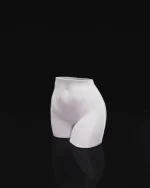 Femininum saksija - Image 3