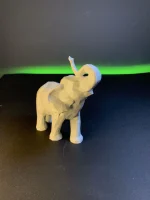 Set - low poly safari životinje